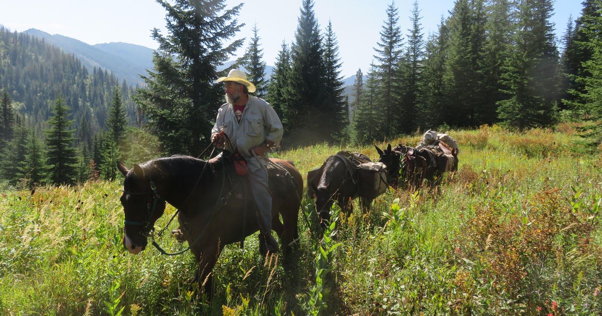 Retired Idaho Fish and Game biologist details efforts to recover