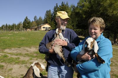 Rusty and Nancy Nelson, the heart and soul of  the Peace and Justice Action League of Spokane, stand Friday outside their home near Rockford with two new kids from the goat herd they share with a neighbor. The couple are retiring from their leadership role after almost 20 years at the nonprofit.  (Jesse Tinsley / The Spokesman-Review)