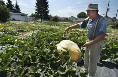 
Jay Bischoff talks about his cooling system for the pumpkins in his Spokane Valley yard on Sullivan Road on Wednesday. Bischoff, who took up growing giant pumpkins as a hobby five  or six years ago, is trying to grow a 1,000-pound prize-winning pumpkin. This pumpkin  weighs an estimated 500 pounds. 
 (Liz Kishimoto / The Spokesman-Review)