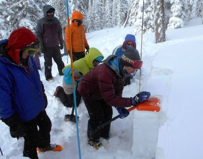 Students practice the Compression Test at a Avalanche Level 2 field class presented near Sandpoint by Selkirk Outdoor Leadership & Education (SOLE) and Selkirk Powder. (Courtesy)