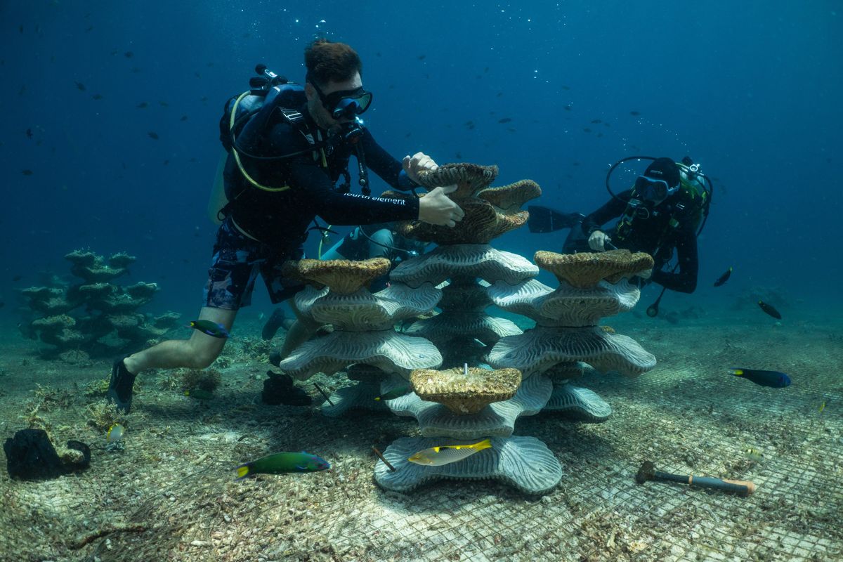 Robin Philippo and a fellow diver from the Tropical Research and Conservation Center assemble a modular artificial reef structure on the reef slope of Pom Pom Island in northeastern Malaysia on April 15. In the Pacific’s Coral Triangle, a conservation group is trying to revive a coral reef ruined by bombs and climate change with an artificial one built using concrete and 3D printed molds.  (New York Times )