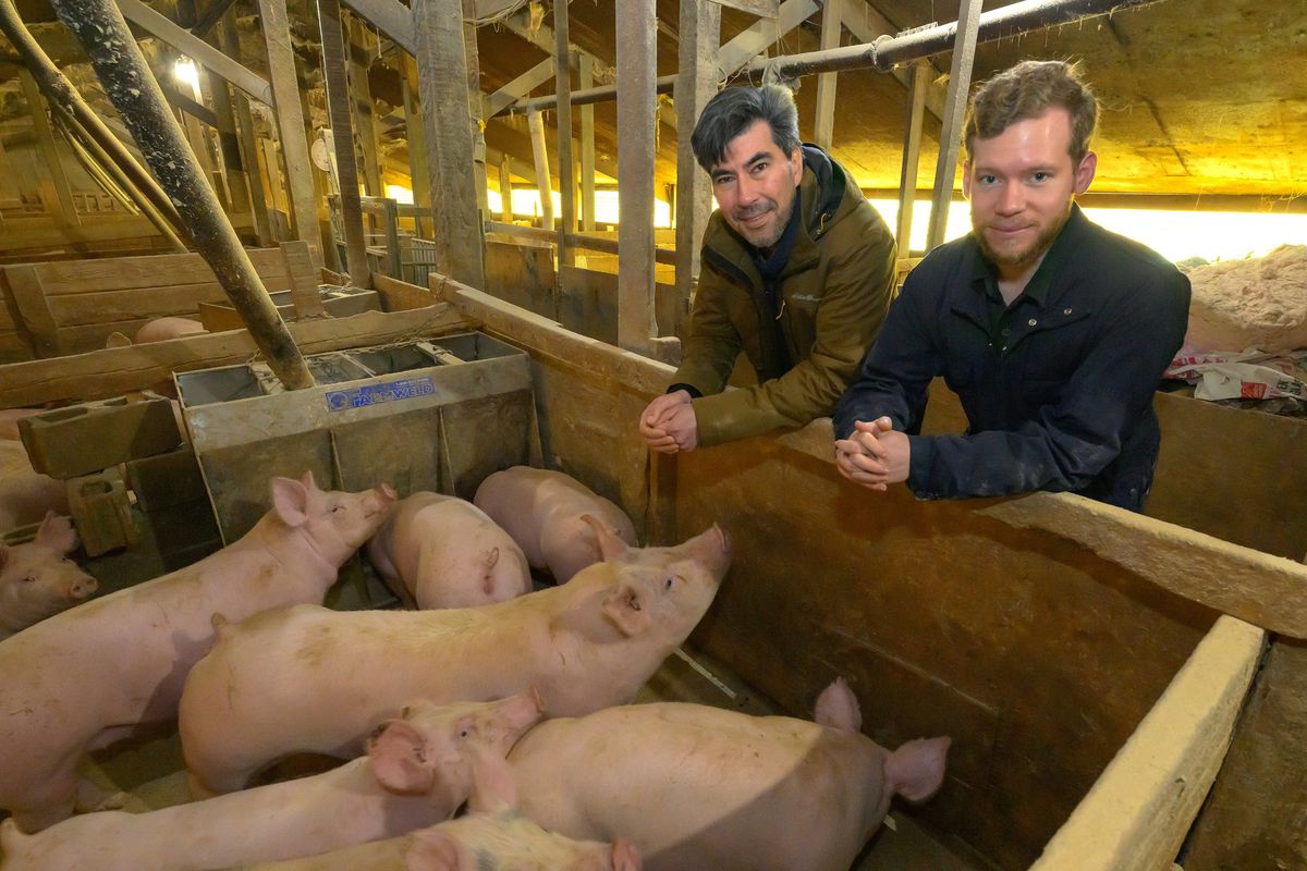 ABOVE: Associate professor Ryan Driskell, left, and Ph.D. student Sean Thompson are part of a research team from the School of Molecular Biosciences in Washington State University’s College of Veterinary Medicine. Findings soon to be published in the journal Nature show in part the secret to youthful appearance and repairing scars may lie in a microscopic skin structure humans share with pigs.  (Ted S. Warren)
