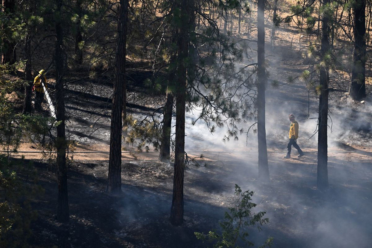 A firefighter, left, sprays water onto the smoldering forest floor near the Spokane River not far from the Spokane Falls Community College to control a suspicious wildfire on Tuesday, July 8, 2025. A larger fire blackened the hillside closer to the college and this fire started just a few hundred yards away.  (Jesse Tinsley/THE SPOKESMAN-REVIEW)