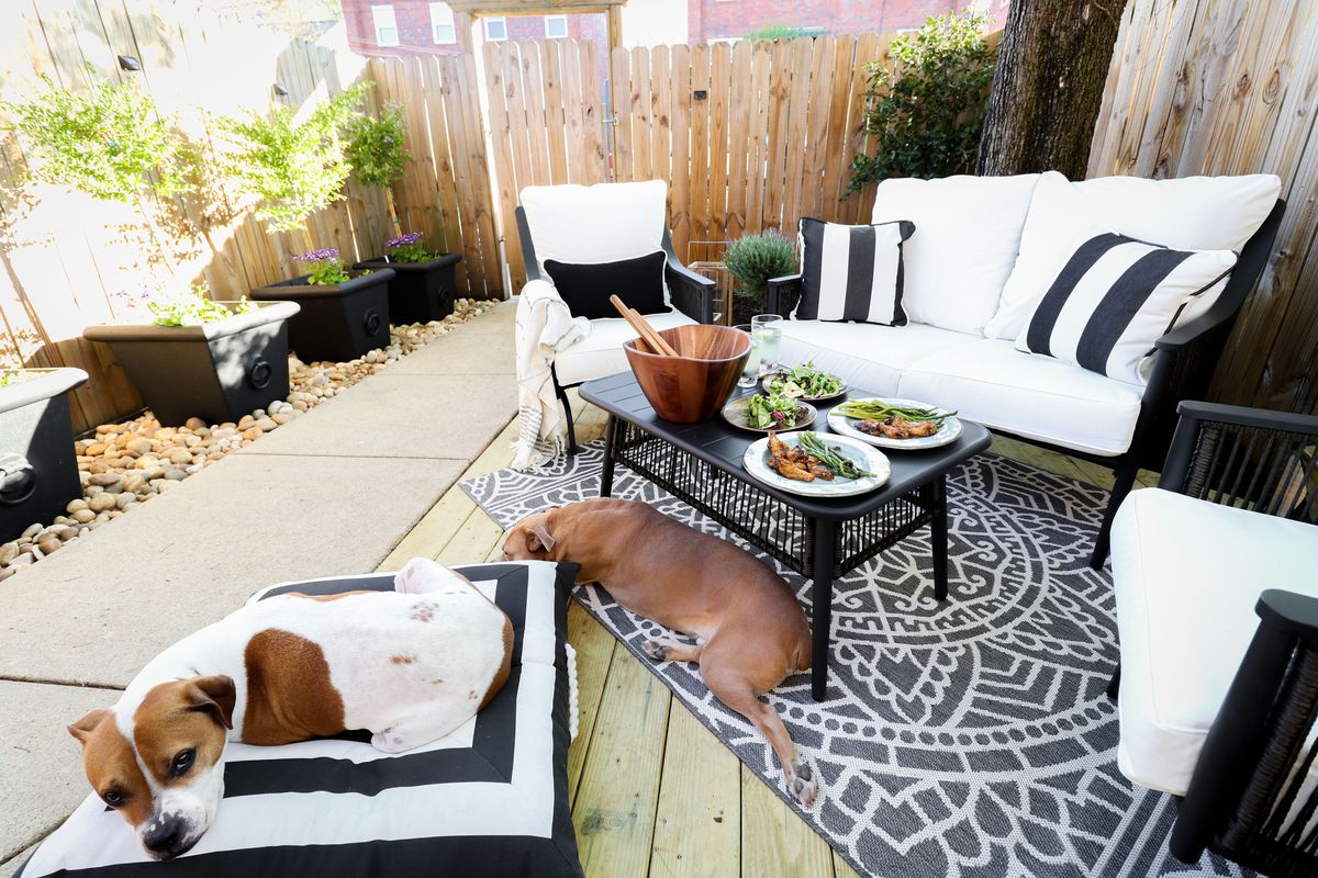 Rashida Banks used large, heavy planters that her dogs can’t get into on her dog- and human-friendly patio. (Rashida Banks/Handout)