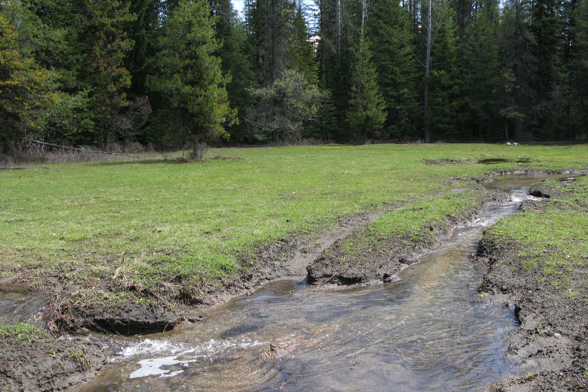 Off-road vehicle damage caused by mud-boggers near Big Meadow Lake in the Colville National Forest in spring 2013. (U.S. Forest Service)