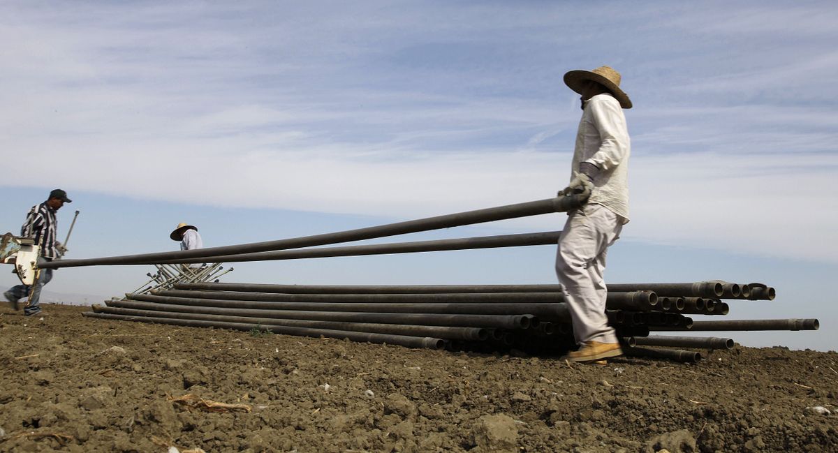 In this June 25, 2013 photo, workers move irrigation pipes from a field in the Westlands Water District near Five Points, Calif. A California judge has rejected a controversial contract between the federal government and the Westlands Water District, the nation