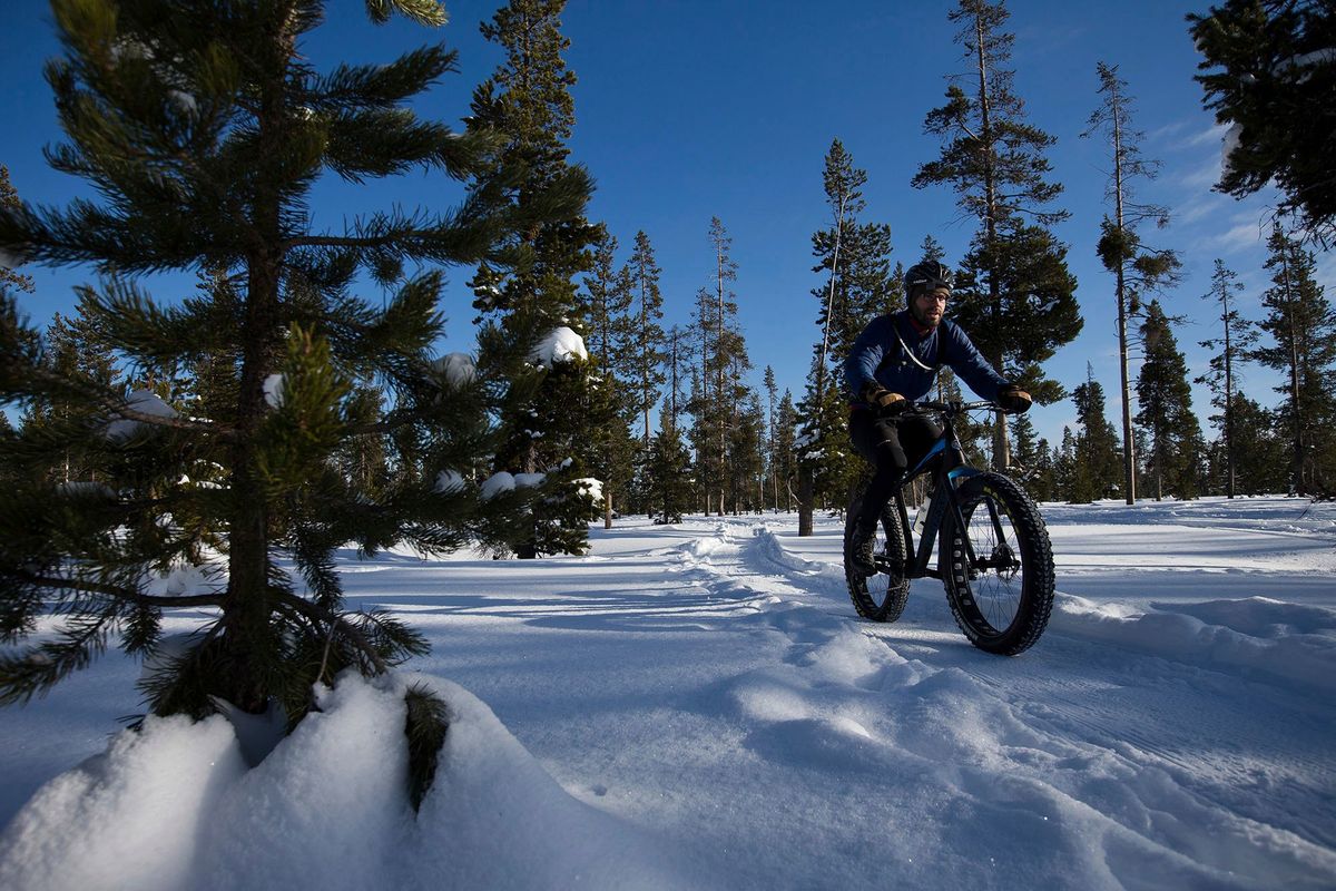 Adam Holt, of Bend, Oregon, rides a fat bike on one of the groomed single-track trails at Wanoga Sno-Park in Bend in early 2016. For those who just refuse to stop mountain biking, even when most central Oregon single-track is covered in snow, fat bikes are an option.  (Associated Press)
