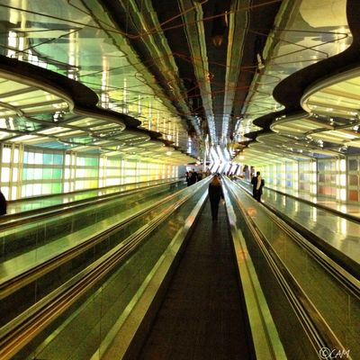  (Cheryl-Anne Millsap / photo by Cheryl-Anne Millsap)