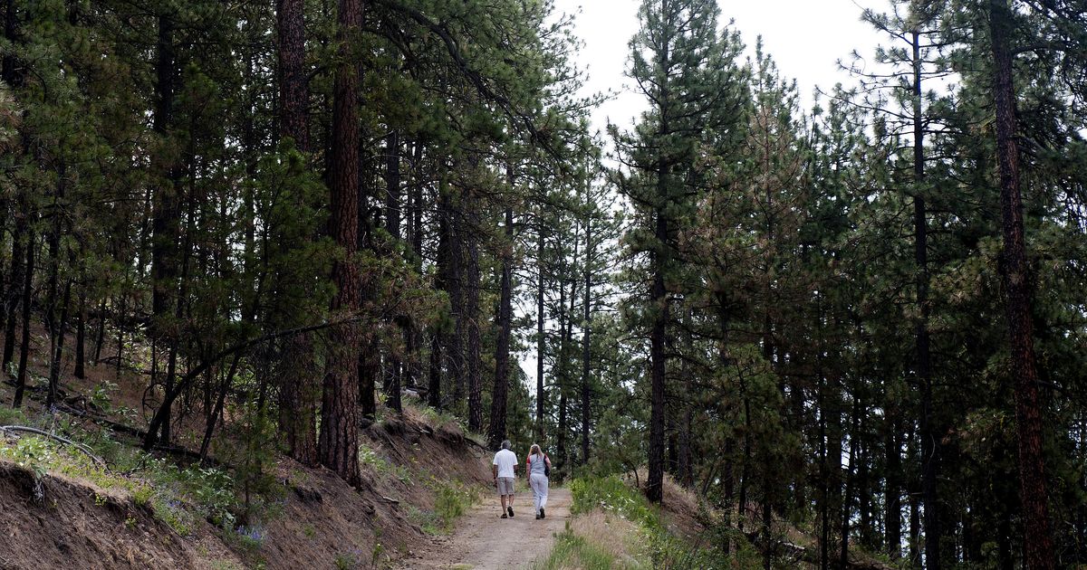 City seeking suggestions for High Drive Bluff trail names The