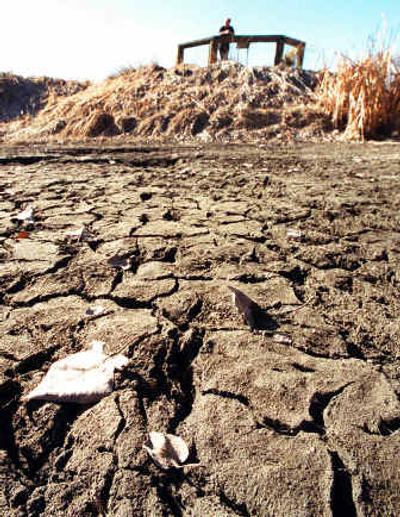 
An empty pond, normally filled by Columbia River water, is shown during drought conditions in Wenatchee's Confluence Park in this March 7, 2001, photo. Researchers who studied centuries of tree ring data have determined Columbia River flow estimates going back 250 years, finding six multiyear droughts between 1750 and 1950. They warn that the Northwest is overdue for a significant drought. 
 (Associated Press / The Spokesman-Review)