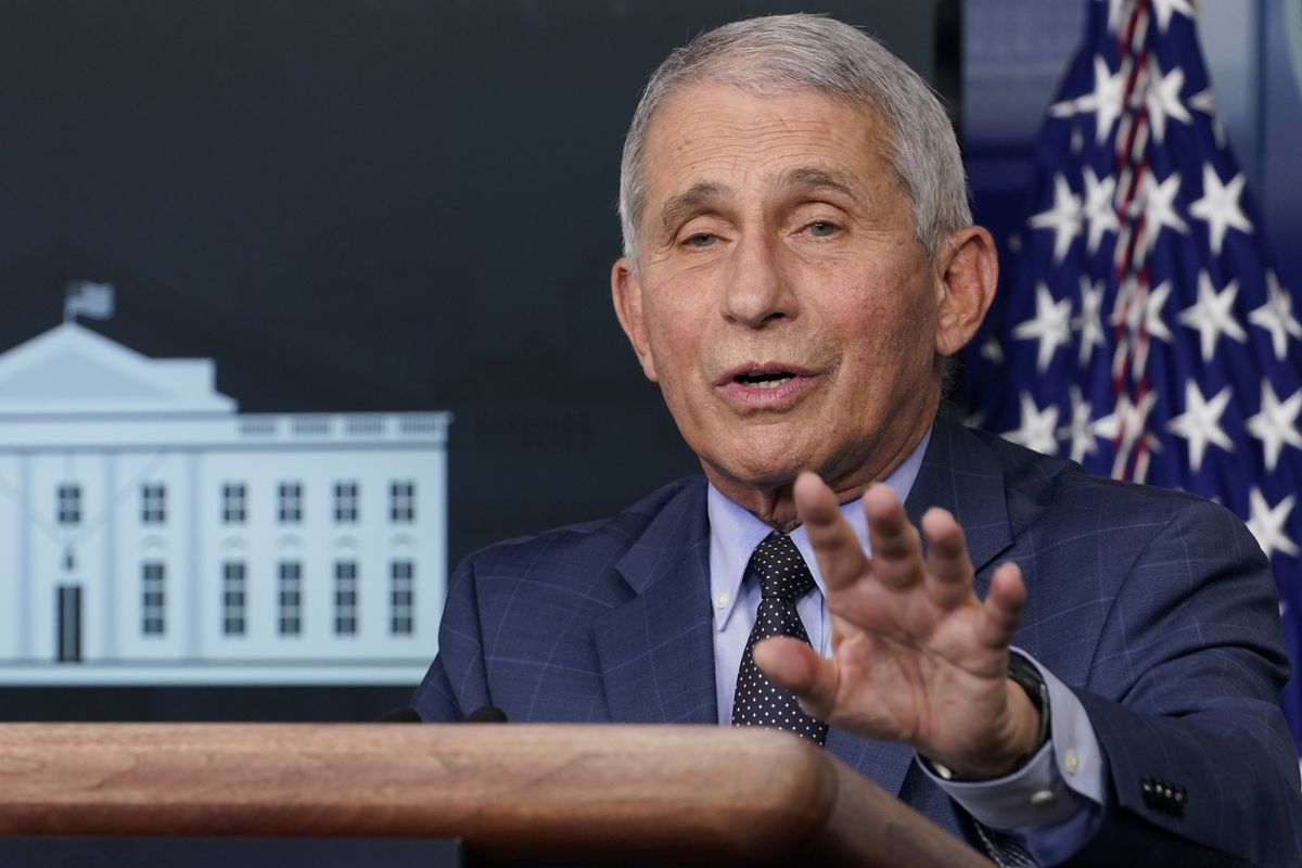 Dr. Anthony Fauci, director of the National Institute for Allergy and Infectious Diseases, speaks during a news conference with the coronavirus task force at the White House in Washington on Nov. 19.  (Susan Walsh)
