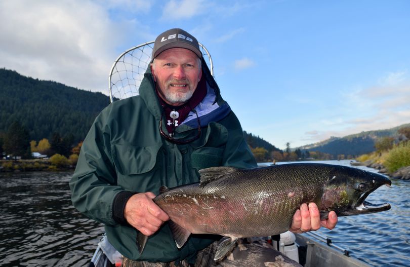 Idaho Falls angler Steve Micek landed an 11.8-pound coho from the Clearwater River.