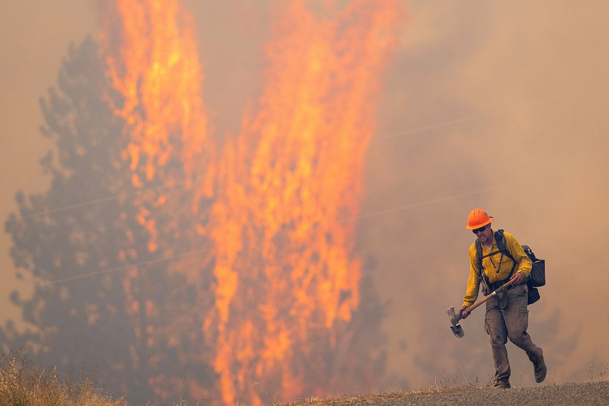 After walking down a gravel road to do recon on a fire cresting into the trees, a wildland firefighter grimaces as he walks back to his crew on Thursday, Aug. 12, 2021, at the Bedrock Fire north of Lenore, Idaho. Lenore is about 30 miles east of Lewiston, Idaho. (Pete Caster)