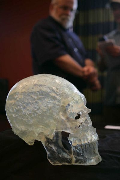 
A model of the Kennewick Man skull is displayed as Dr. Wayne Smith, background, answers questions  at University Towers in Seattle on Sunday. 
 (Associated Press / The Spokesman-Review)