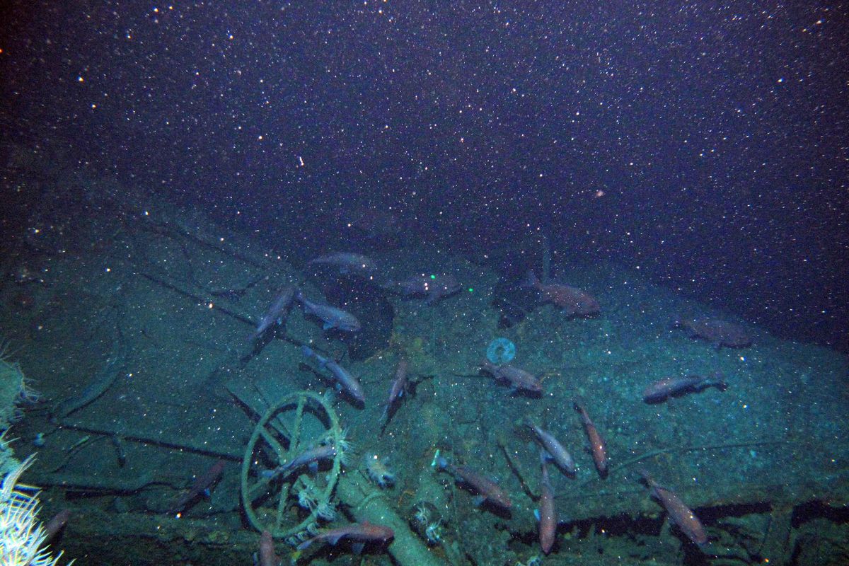 Fish swim around the helm of the Australian submarine HMAS AE1 off the coast of the Papua New Guinea island of New Britain in this image provided by the Australian Department of Defense. One of Australia