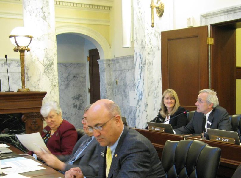 JFAC members Sen. Dan Schmidt, right, and Rep. Wendy Horman, center, propose competing motions Tuesday for the Idaho Commission on the Arts budget. (Betsy Z. Russell)