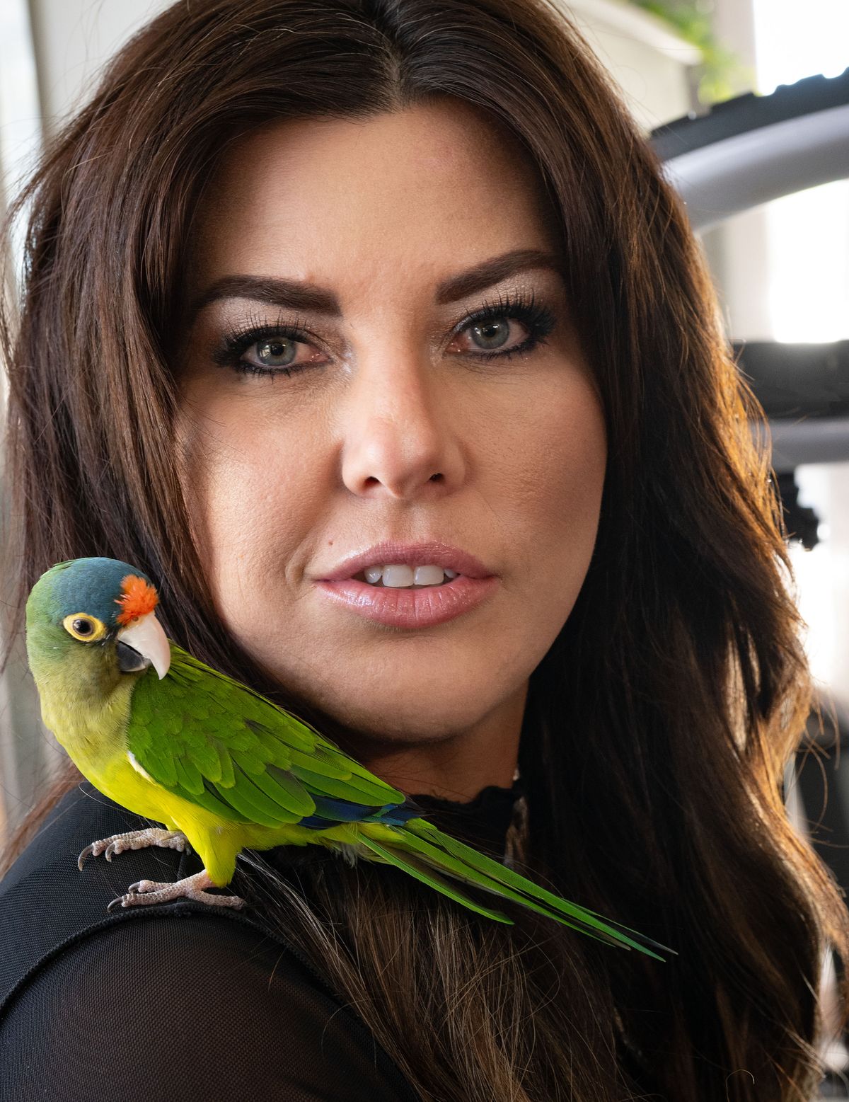 Hairdresser Nishee Jordan takes her family’s pet half-moon conure with her everywhere – to stores, on hikes and at work. (Colin Mulvany / The Spokesman-Review)