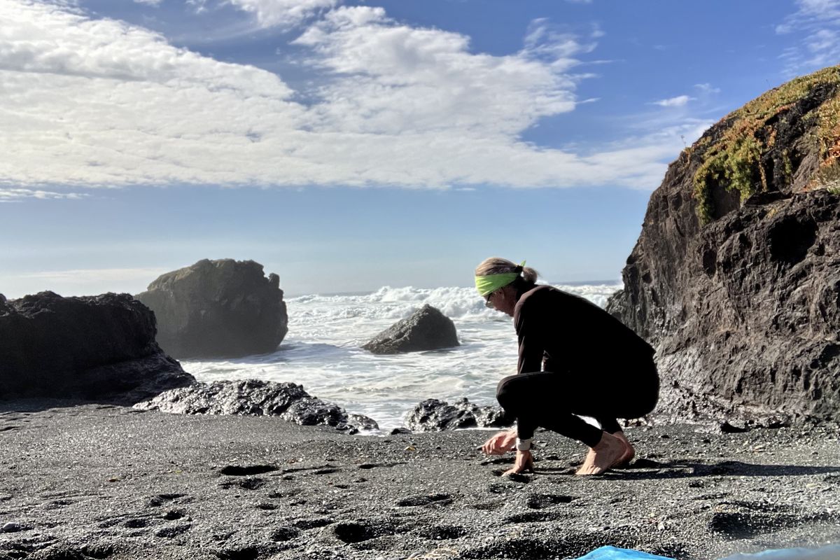 A series of rocky coves stand ready to be explored at MacKerricher State Park near Fort Bragg. (John Nelson)