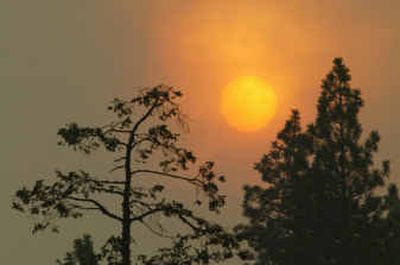 
The sun tries to shine through thick smoke coming from the Fischer fire burning near Dryden, Wash., on Monday. On Tuesday, about 1,200 firefighters were assigned to the blaze 20 miles northwest of Wenatchee, which had charred about 7,200 acres on private, state and national forest land.
 (Associated Press / The Spokesman-Review)