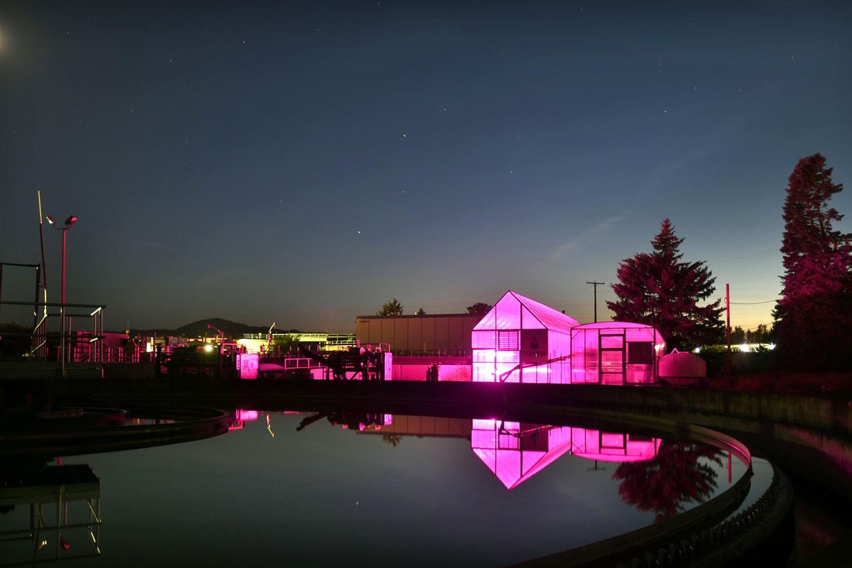 In a June 29, 2017, photo, The Clearas Water Recovery greenhouse glows purple from the LED grow lights for the algae held in glass tubes near the settling ponds in Missoula’s wastewater treatment facility. Clearas has developed a patented process to use the algae to remove nitrogen and phosphorus from the plant’s wastewater, keeping waterways, like Missoula’s Clark Fork River, free from the compounds that starve fish and plant life of oxygen by feeding algae in the river. (Tommy Martino / Tommy Martino/The Missoulian via AP)