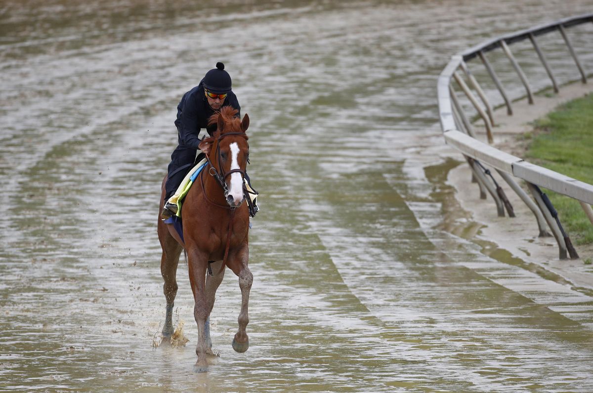 History of preakness stakes betting