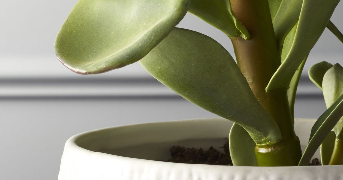 The best, most realisticlooking fake plants for decorating your home