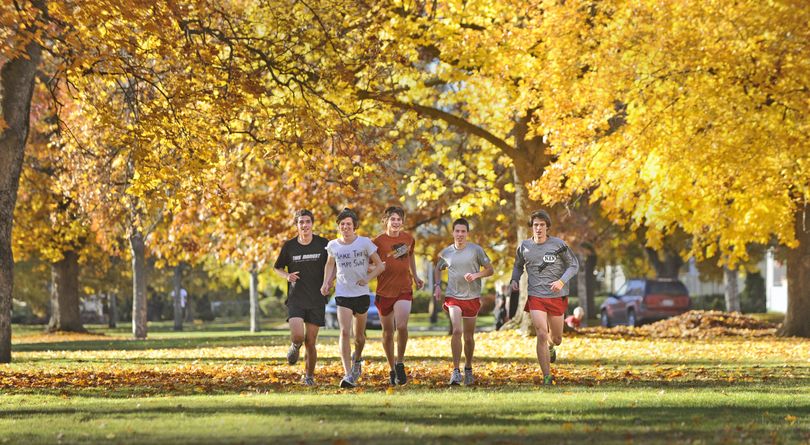 North Central runners, left to right, Eli Brunette, Casey Adams, Boston Smith, Vince Hamilton and Andrew Wordell take in the fall foliage at Corbin Park.  (Christopher Anderson)