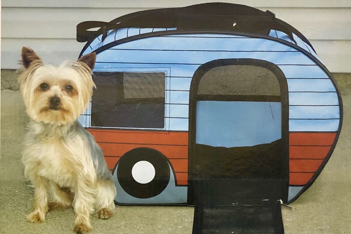 Your pup can travel in style in this trailer-shaped pet carrier sold at Camping World. (Leslie Kelly)
