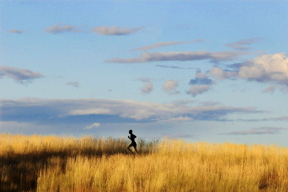 Mead sophomore Andrew Gardner casts a long shadow as he runs through the fields above the school preparing for the GSL cross country season. (Christopher Anderson)
