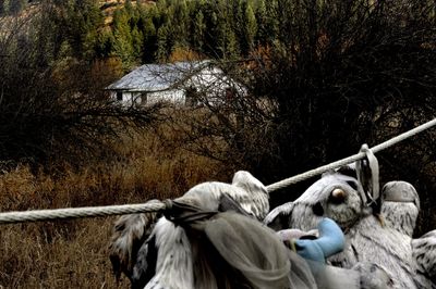 Weathered stuffed toys hang in front of the Wolf Lodge Bay home where three people were murdered and two children kidnapped in 2005. The state of Idaho owns the property now and plans to preserve it as wetlands. A  small monument might be placed on the site to honor  the slaying victims.  (Kathy Plonka / The Spokesman-Review)
