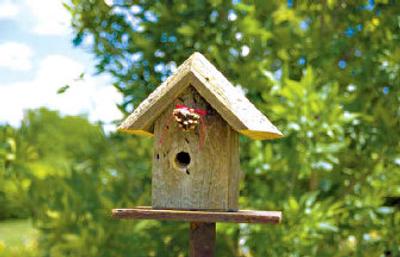
Providing food attracts neighborhood birds and those needing a bite during migration flights.
 (Clipart.com / The Spokesman-Review)