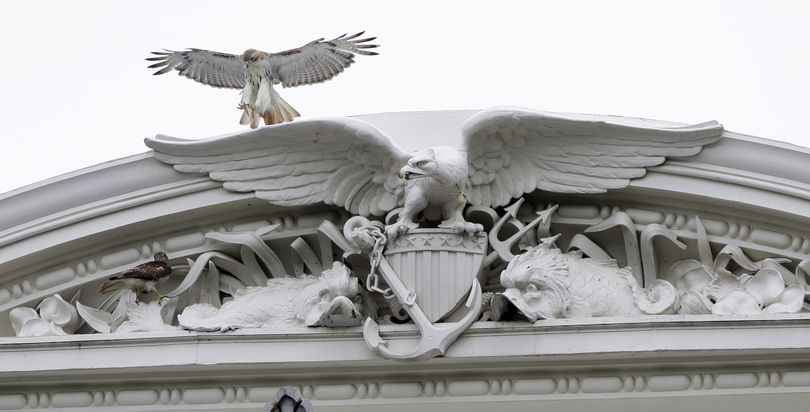 ORG XMIT: DCAB149 A pair of red-tailed hawks are seen at the top of the Eisenhower Executive Office Building near the White House in Washington Tuesday, June 16, 2009. (AP Photo/Alex Brandon) (Alex Brandon / The Spokesman-Review)