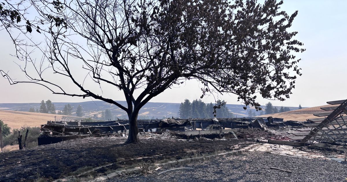 Destroyed by fire in 2020, Malden avoids new destruction in Saturday fire