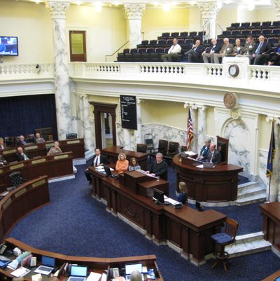 Idaho Supreme Court Chief Justice Roger Burdick addresses the Idaho House on Thursday (Betsy Russell)