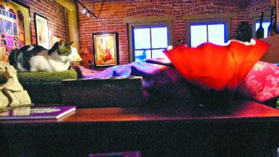 
Mr. Spiff catches a nap in the Lisks' downtown loft surrounded by artwork and a carefully designed lighting plan.
 (Brian Plonka/the spokesman-review / The Spokesman-Review)