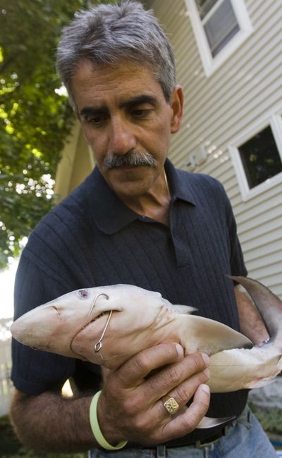 Rich Farsi displays a shark he says he found in West Grand Traverse Bay, Michigan, on Wednesday.  (Associated Press / The Spokesman-Review)