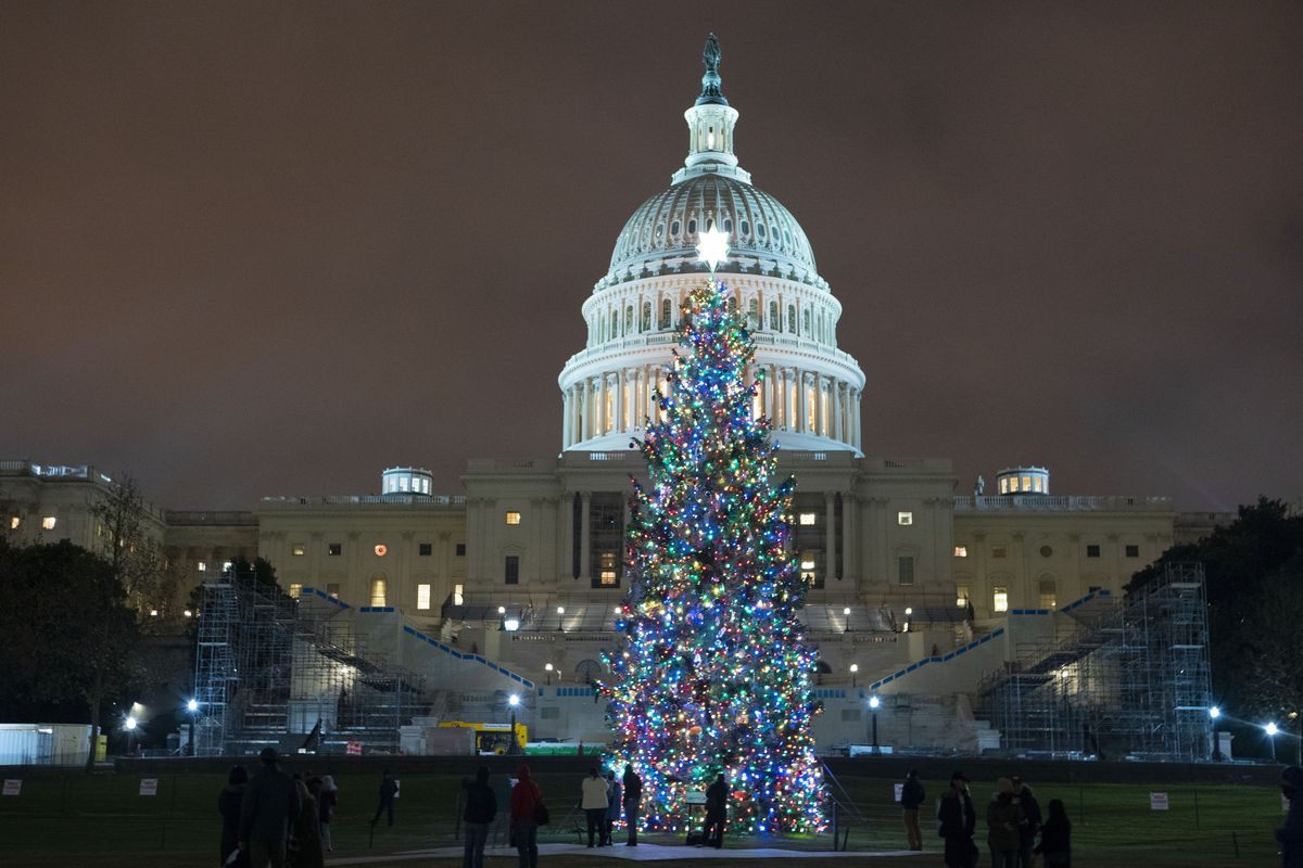 U.S. Capitol Christmas Tree is seen at the U.S. Capitol at night after negotiators sealed a deal for COVID relief late Sunday night in Washington.   (Jose Luis Magana)