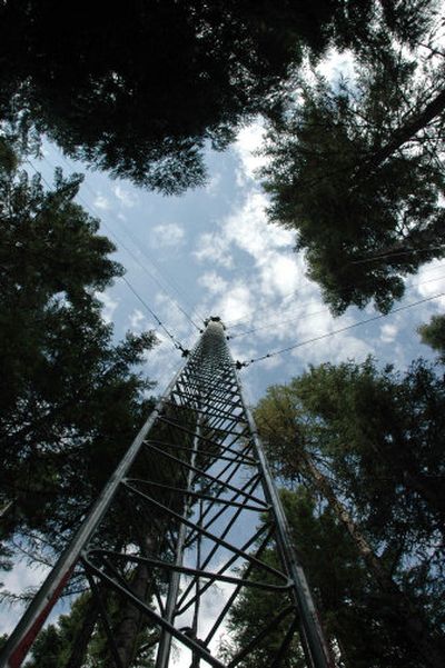 
The tower has been taking measurements for UI researchers since August 2005. 
 (Photo courtesy of the University of Idaho / The Spokesman-Review)