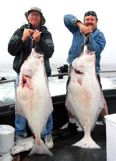 
Washington spring halibut sportfishing can be over in a few days during fast season. 
 (Photo courtesy of Michael Jamboretz / The Spokesman-Review)