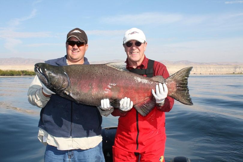 Seth Burrill, left, poses with a hunk of freshly caught chinook salmon in the Hanford Reach of the Columbia.  (courtesy)