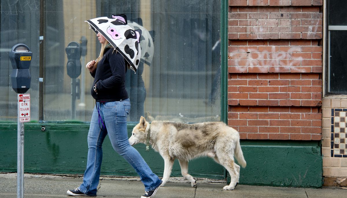 It was no walk in the park for Heather Chisholm and Lord as they tried to stay dry June 20, 2013, during the rain in downtown Spokane. It was a cold solstice day, when the mercury only made it to 50 degrees.  (DAN PELLE)