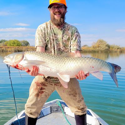 Meridian angler Cris Endicott poses with a state record rod-and-reel grass carp, which weighed 46.7 pounds and measured 50 inches long. Endicott caught the fish on the Snake River on Oct. 10. IDFG 