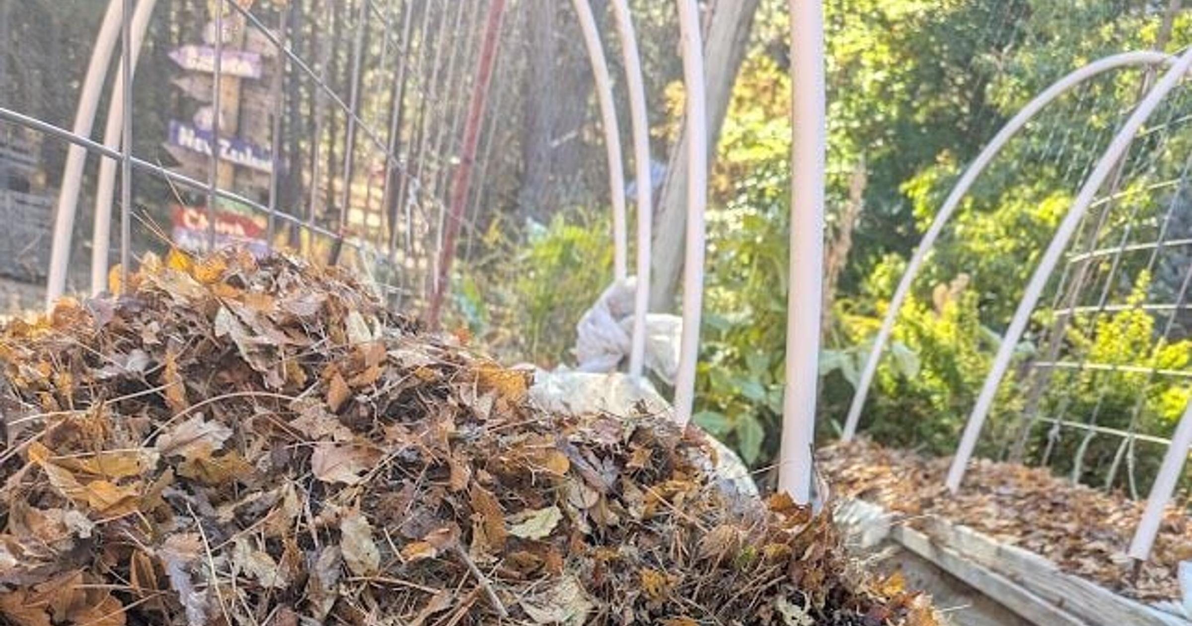 Gardening: Add nutrients to the soil now to prepare for next year's growing season