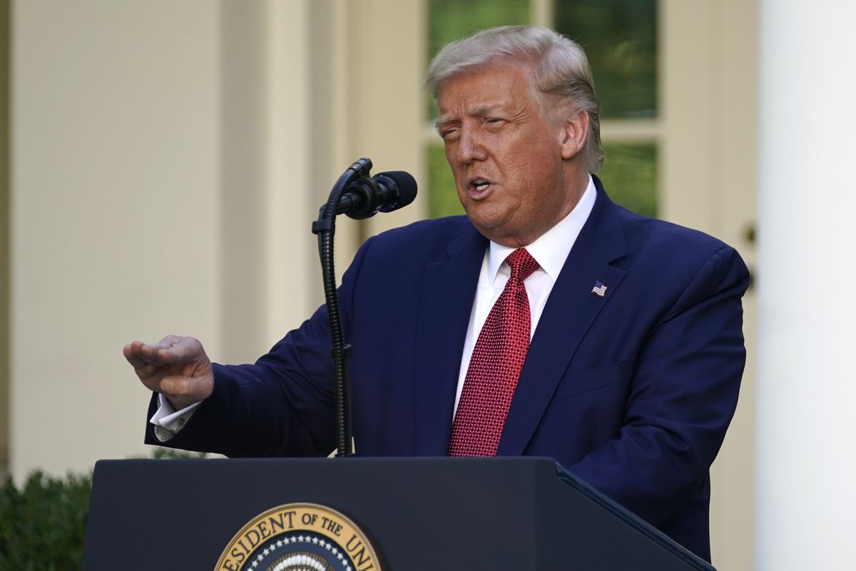 President Donald Trump speaks during a news conference in the Rose Garden of the White House, Tuesday, July 14, 2020, in Washington.  (Evan Vucci)