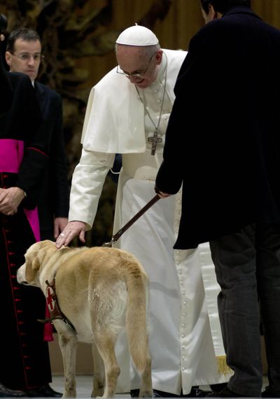 Pope Francis pats the guide dog of Italian reporter Alessandro Forlani during a meeting with the media at the Paul VI Hall in Vatican City on Saturday (Associated Press)