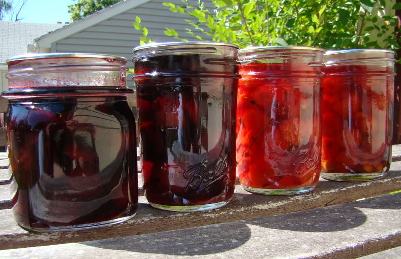 Boozy cherries galore! (Some more alcohol-infused than others). (Maggie Bullock)