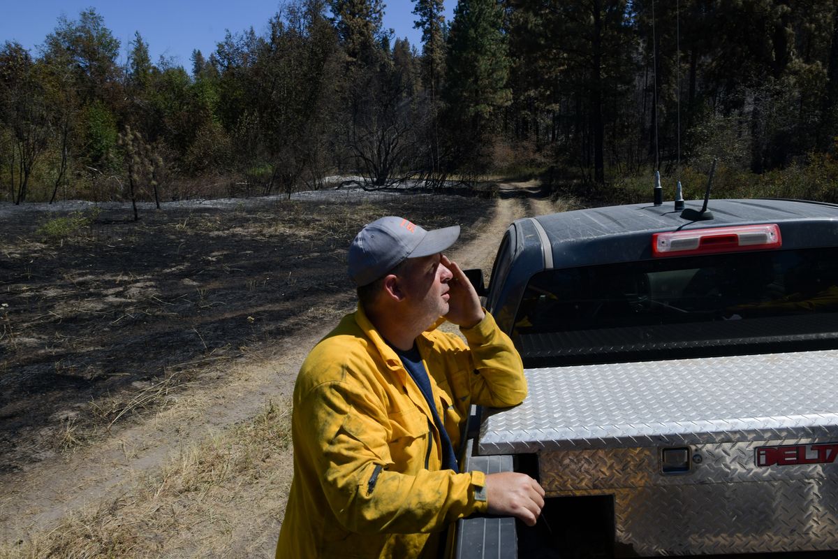 Shay Logue, lead forester for the Bureau of Indian Affairs and firefighter, surveys the Chuweah Creek fire’s destruction to one of the forests he helps manage on Sunday outside Nespelem, Wash.  (Tyler Tjomsland/The Spokesman-Review)