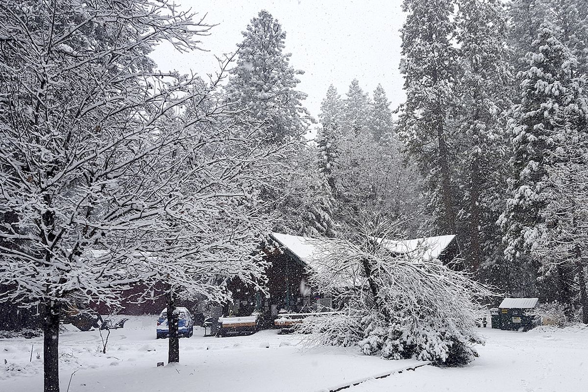 The Cascade Shores General Store is shrouded in a blanket of white snow after the storm system moved through Nevada County, Friday, Jan. 22, 2021.  (Liz Kellar)