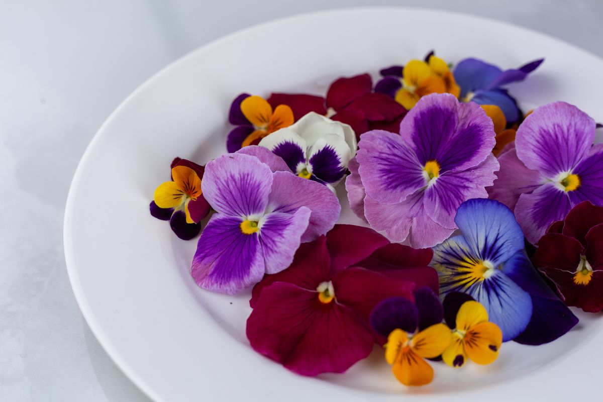 Plant edible flowers now to brighten plates in spring, summer