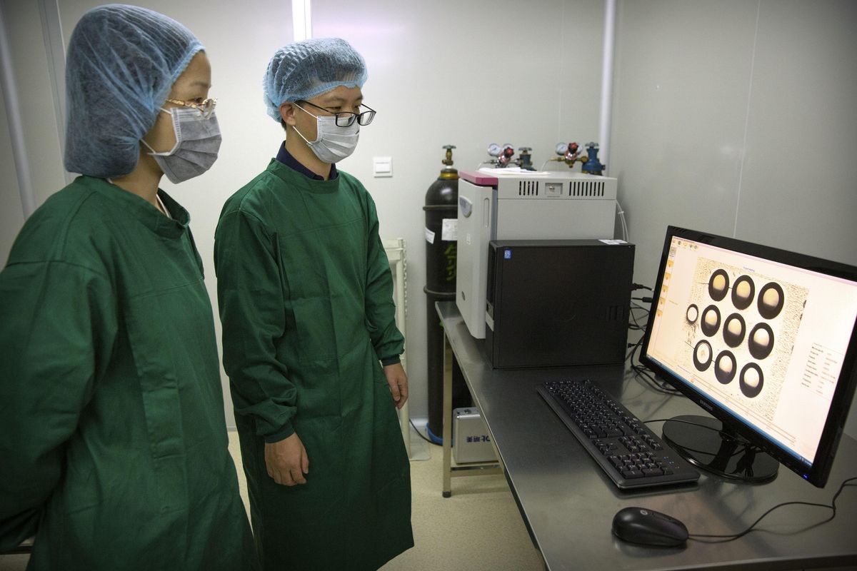 Zhou Xiaoqin, left, and Qin Jinzhou, an embryologist who were part of the team working with scientist He Jiankui, view a time lapse image of embryos on a computer screen at a lab in Shenzhen in southern China’s Guandong province on Oct. 9, 2018. China’s government on Thursday, Nov. 29, ordered a halt to work by a medical team that claimed to have helped make the world’s first gene-edited babies. (Mark Schiefelbein / Associated Press)